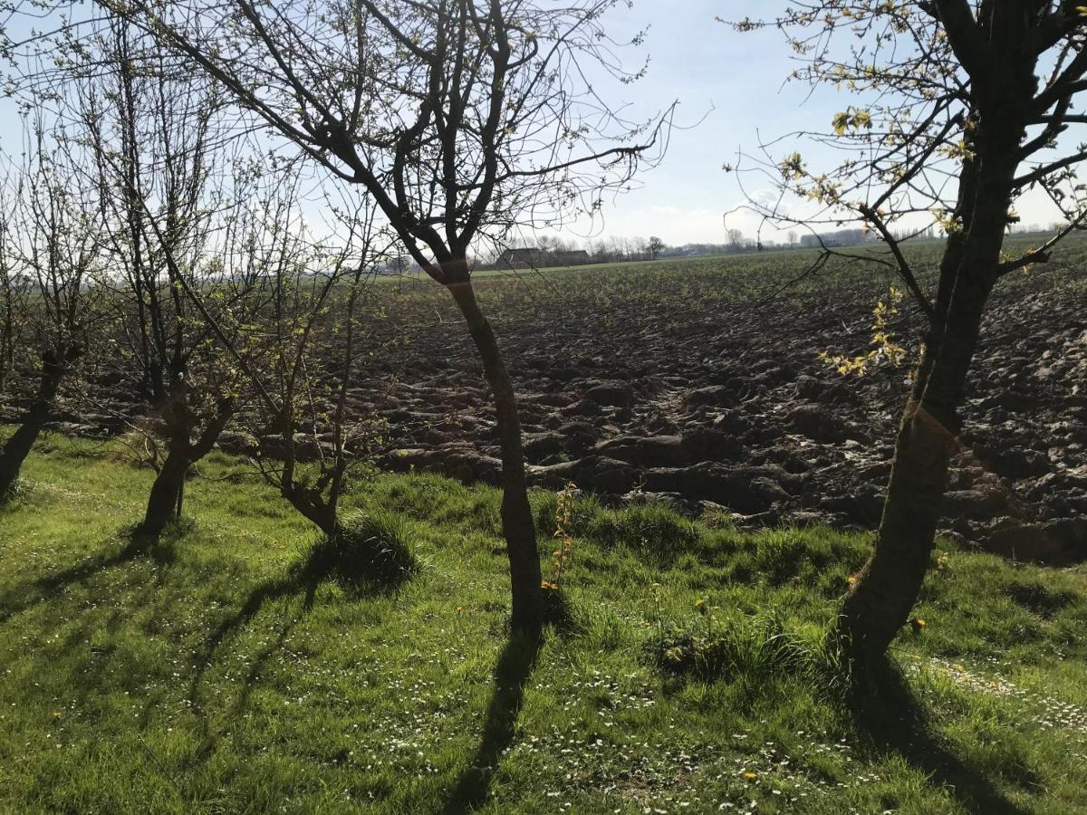 Dijkhuisje Zeeland Waterlandkerkje Exteriér fotografie