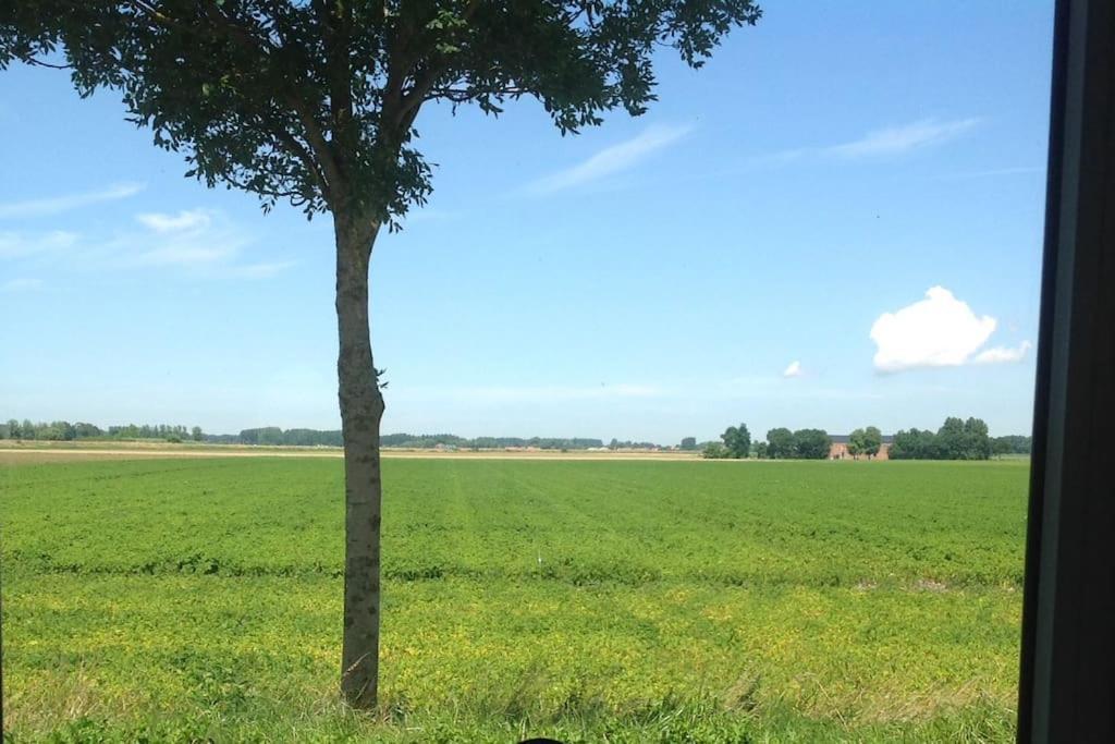 Dijkhuisje Zeeland Waterlandkerkje Exteriér fotografie