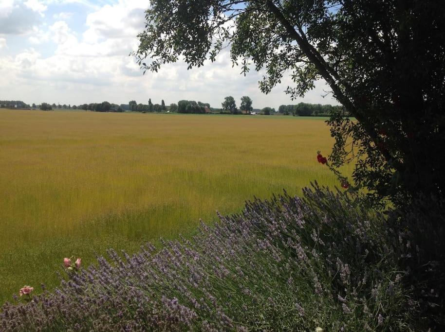Dijkhuisje Zeeland Waterlandkerkje Exteriér fotografie
