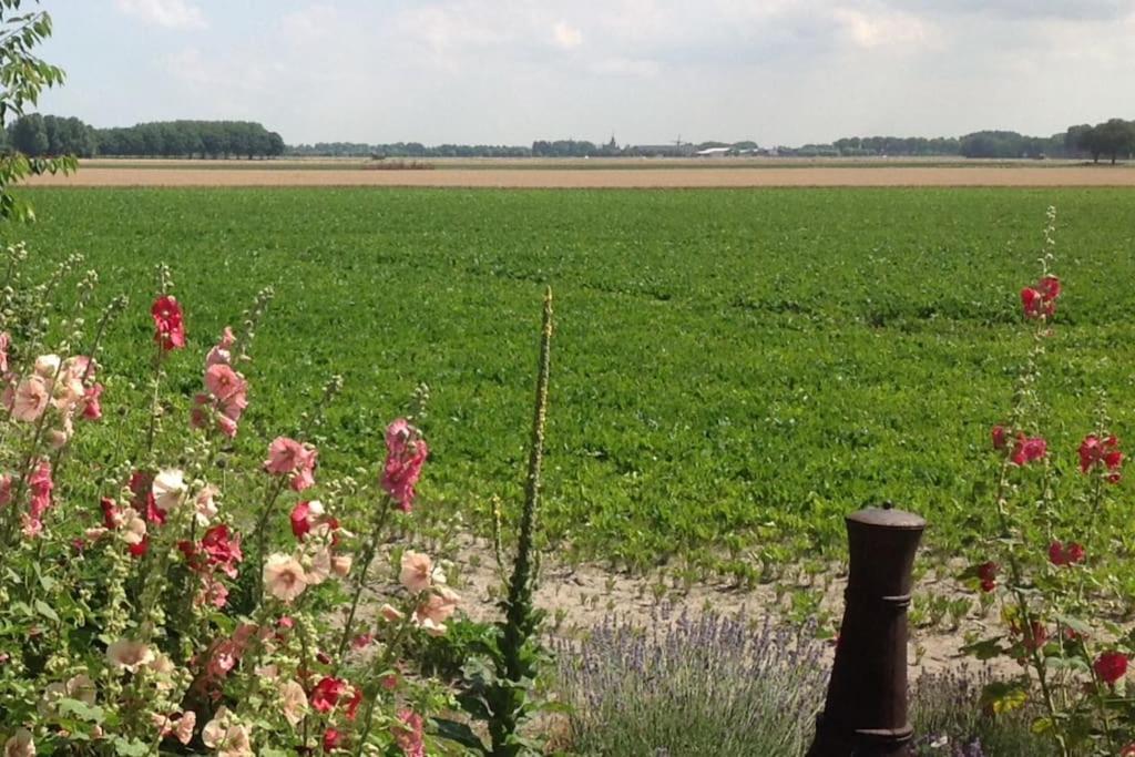 Dijkhuisje Zeeland Waterlandkerkje Exteriér fotografie