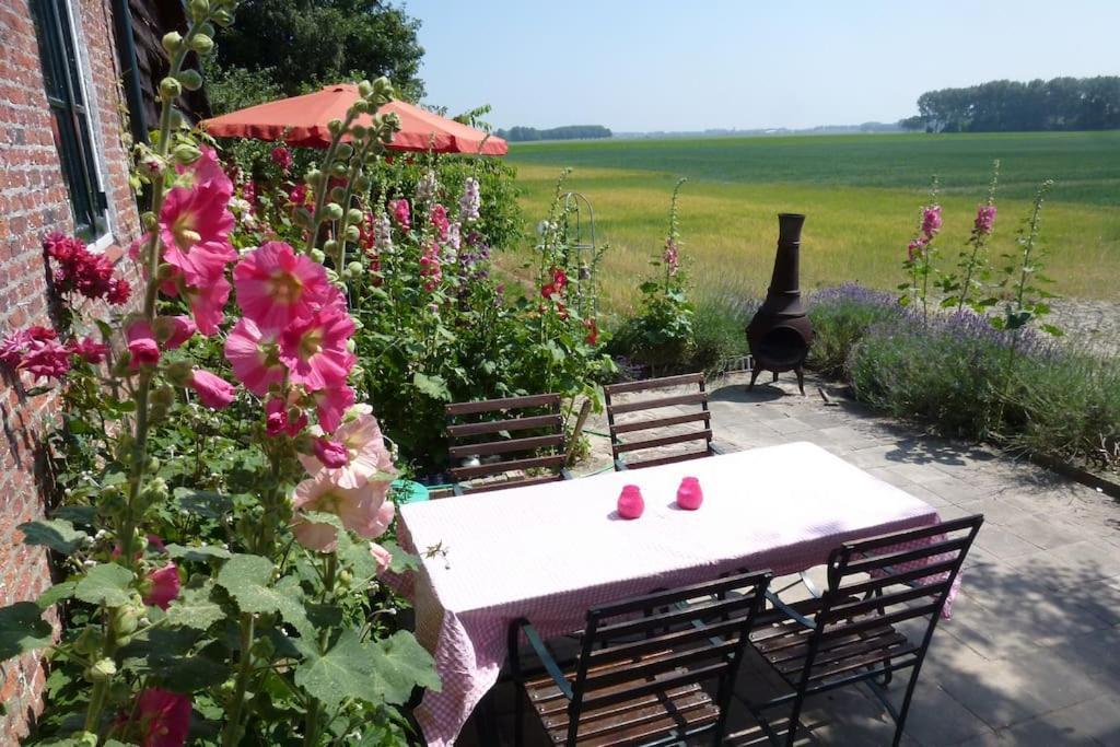 Dijkhuisje Zeeland Waterlandkerkje Exteriér fotografie